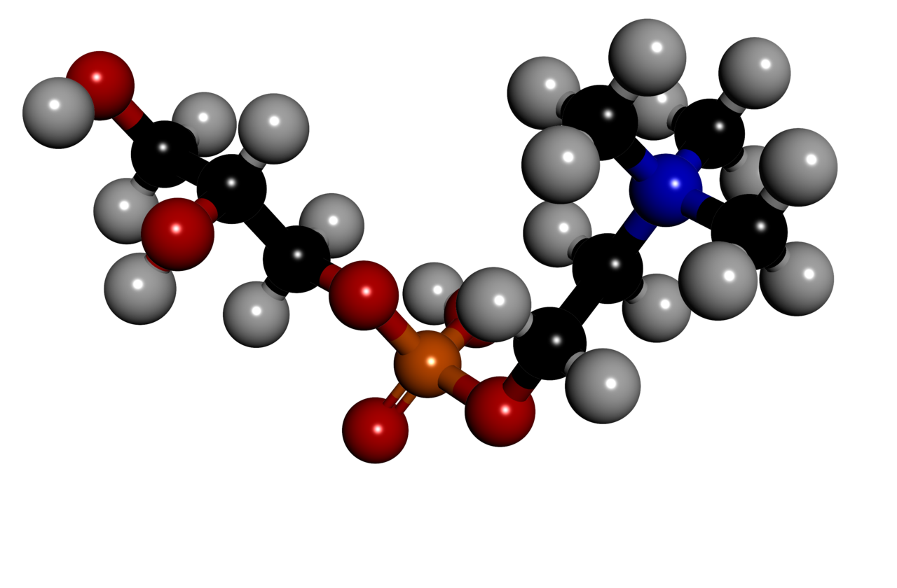 Alpha GPC Dosage, Timing & Evidence — A 2026 Mechanism Guide