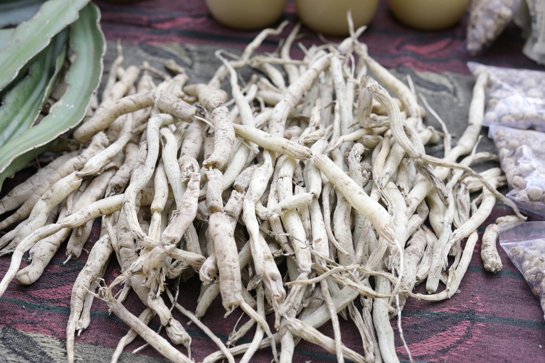 Best Nootropics for Focus in 2026: Ranked by Evidence