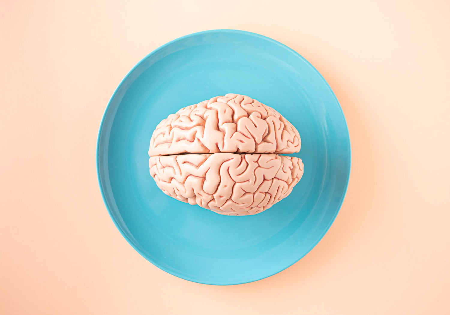 Nootropics for Focus: What Actually Works in 2026