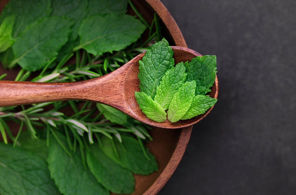 Brain Supplements That Work: 6 Ingredients Ranked