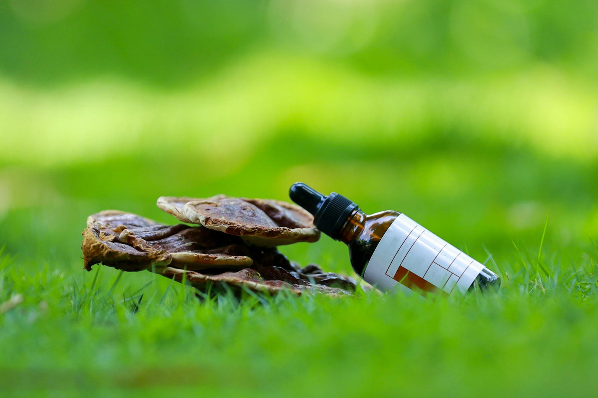 Revive Supplements: Grading Every Ingredient by Clinical Evidence