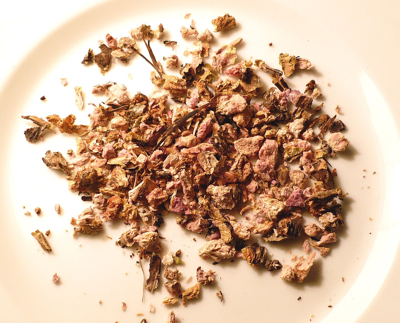 Rhodiola Rosea Supplement: Benefits, Dosage & Evidence (2026)