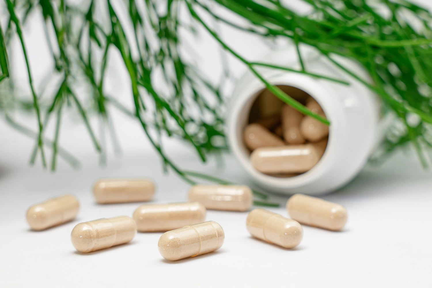 Best Supplement for Memory and Focus in 2026: Evidence-Based Guide