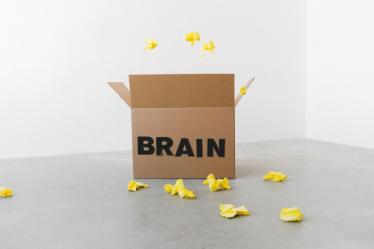 Best Nootropic Supplements for Focus in 2026: Ranked by Hours-to-Effect