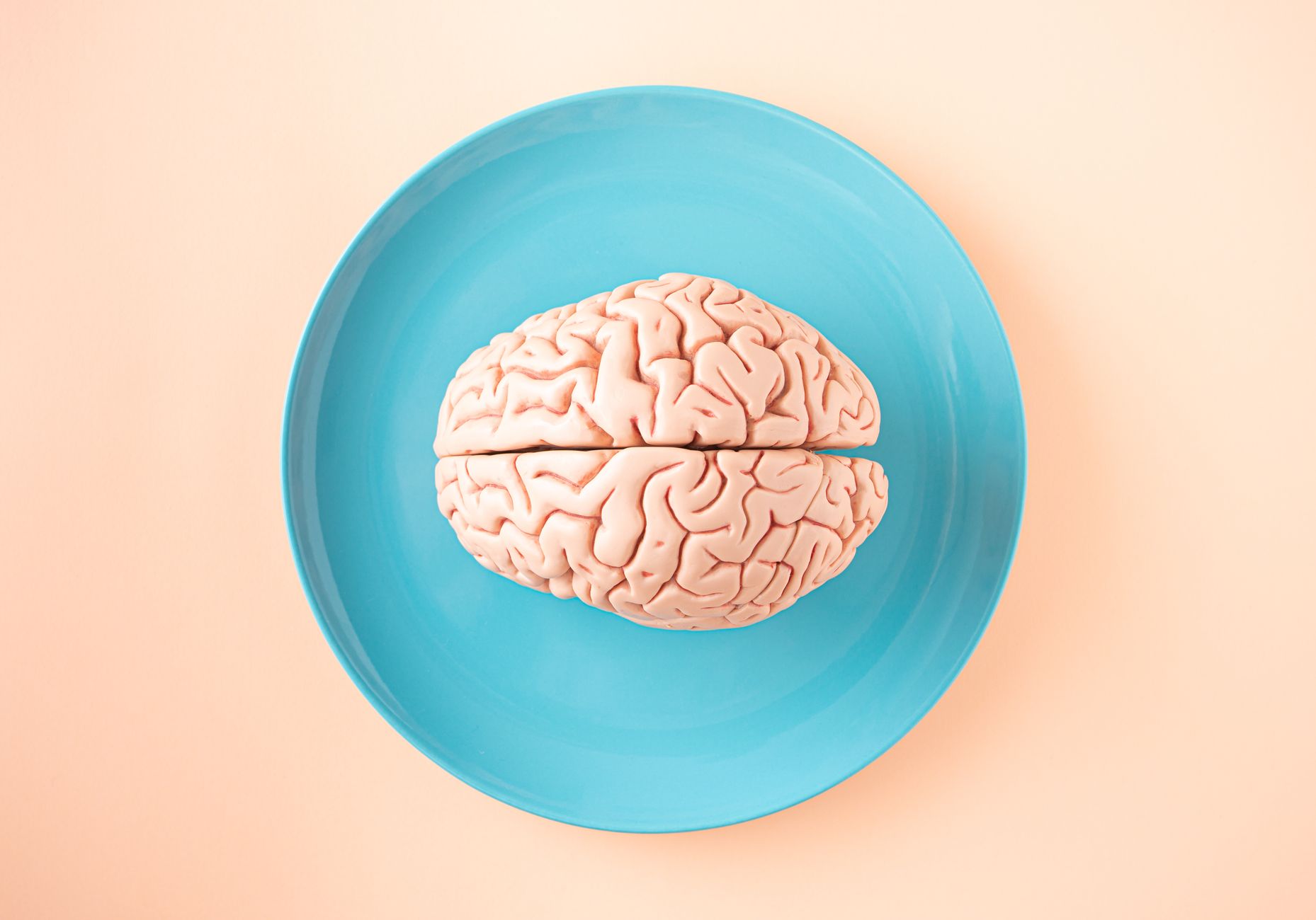 Nootropics for Focus: What Actually Works in 2026