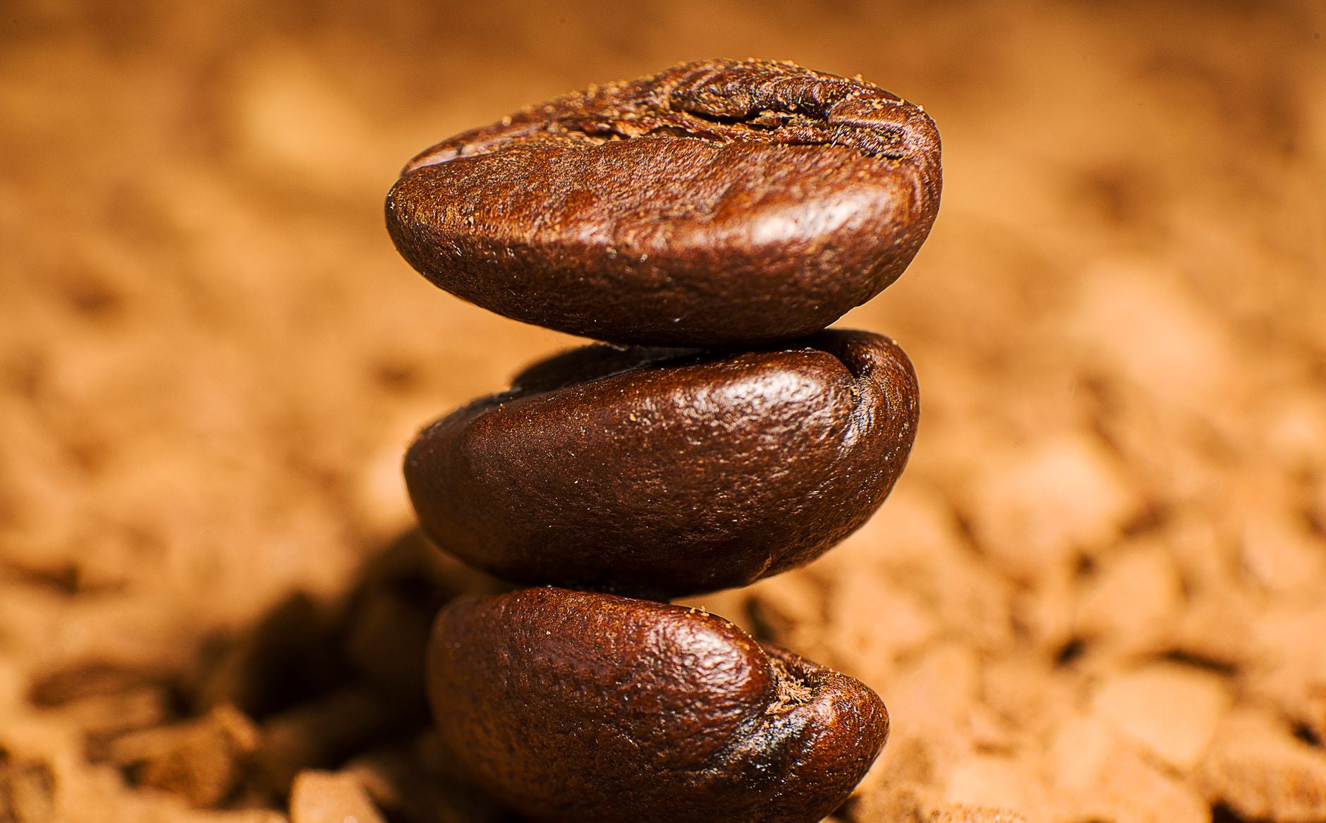 The L-Theanine and Caffeine Stack: Why the 2:1 Ratio Works and How to Get It Right