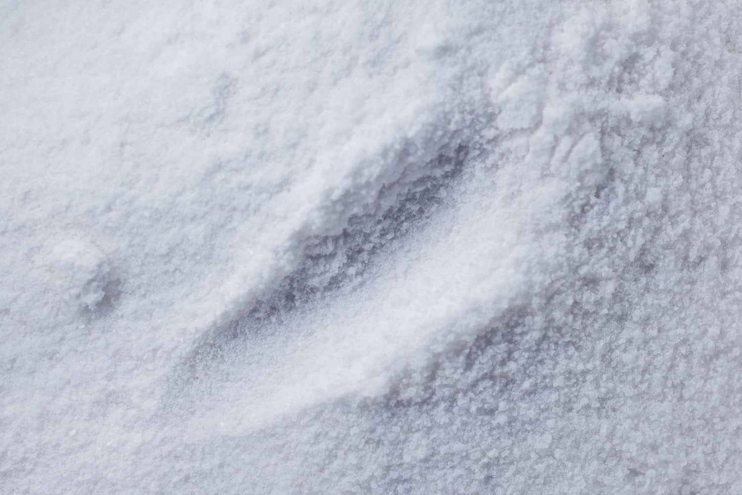 Magnesium Glycinate: Why Absorption Matters More Than Dose (2026 Guide)