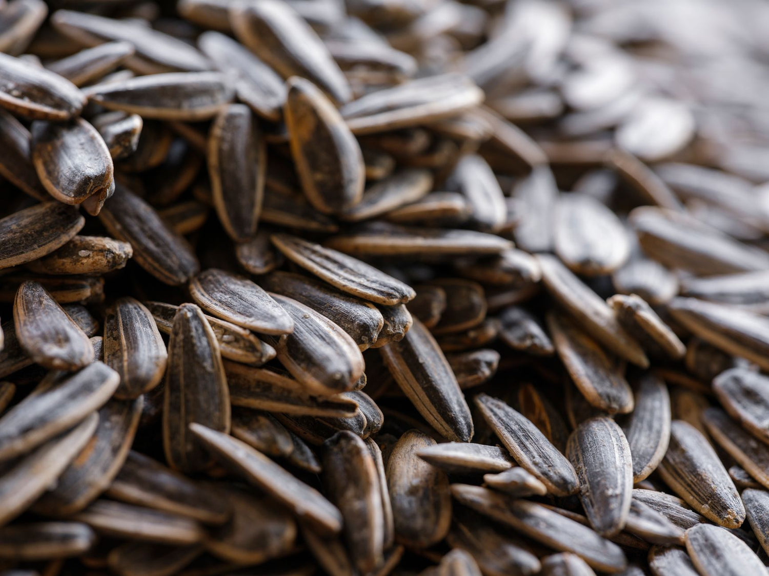 Magnesium Glycinate: Why It Beats Other Forms for Sleep and Stress in 2026