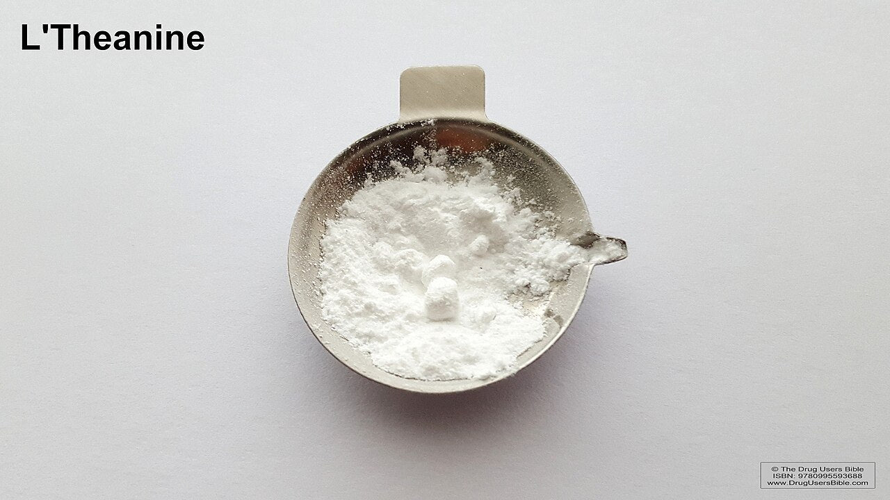 Brain Supplements That Work in 2026