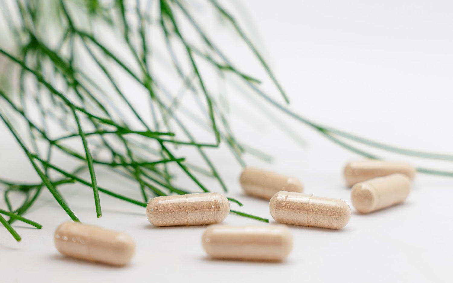 Phosphatidylserine Supplement: What Three Decades of Clinical Evidence Actually Tell Us