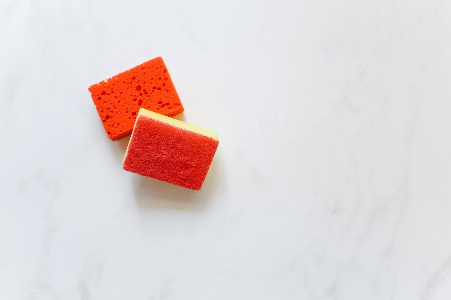 What Is Noobru? Natural Ways to Boost Focus