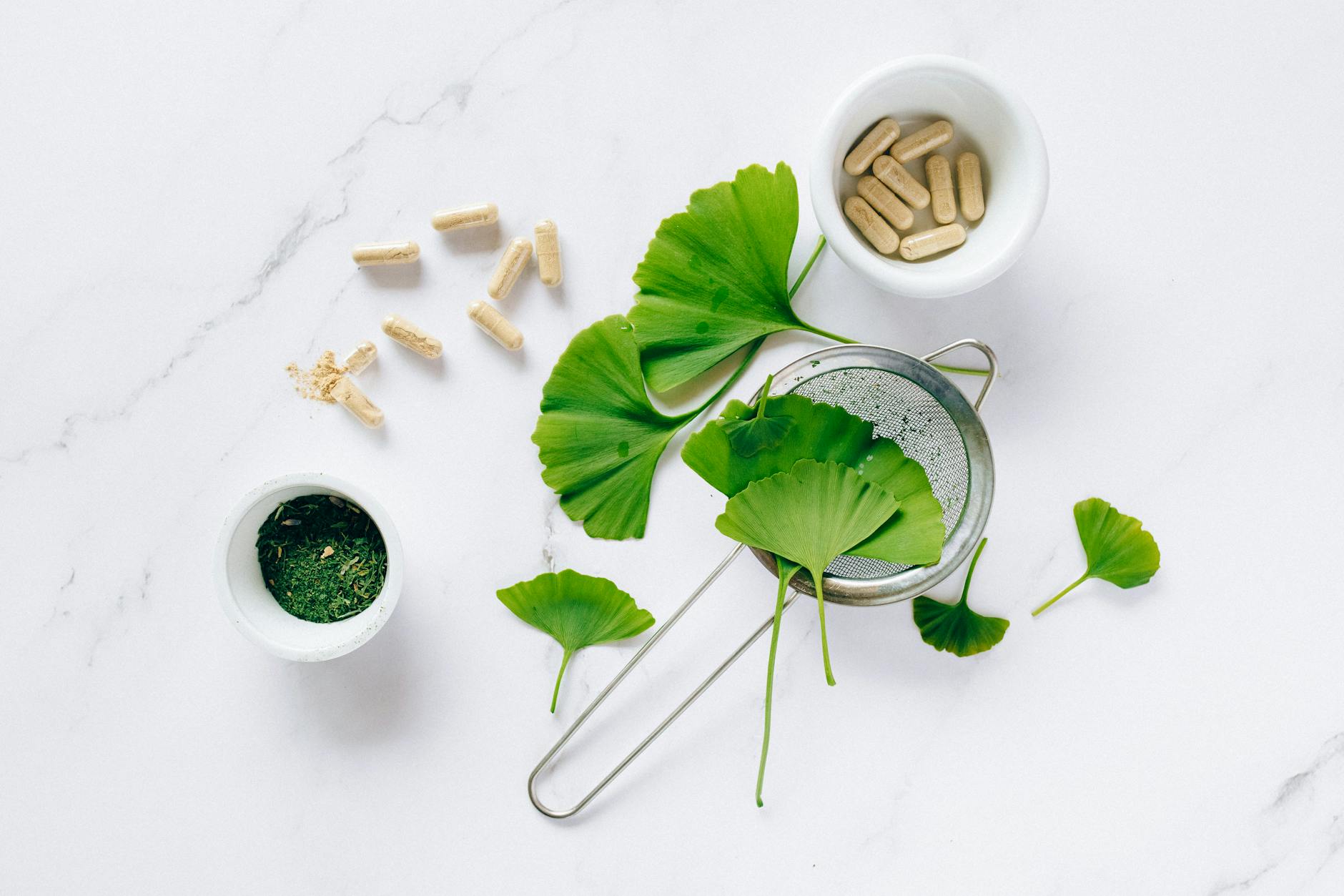Best Nootropics for Focus and Memory | Ginkgo Biloba Supplement Guide